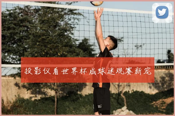 投影仪看世界杯成球迷观赛新宠
