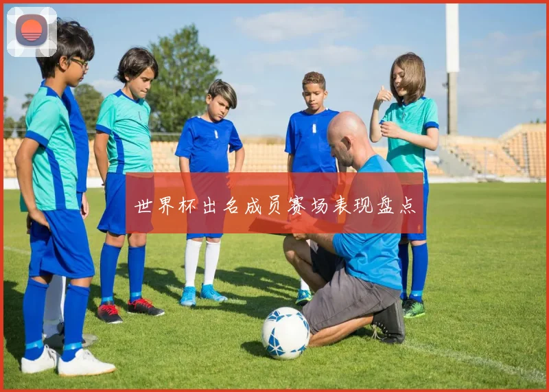 世界杯出名成员赛场表现盘点