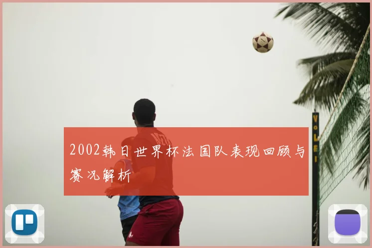 2002韩日世界杯法国队表现回顾与赛况解析