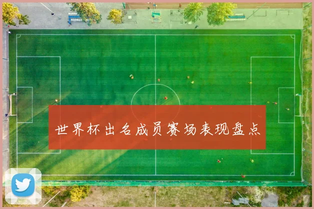 世界杯出名成员赛场表现盘点